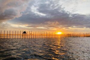 Voyage au vietnam hors de sentiers battus 20 jours tarrif