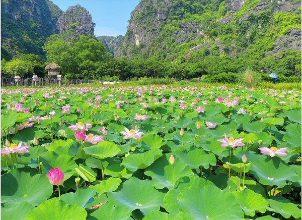 Voyage au vietnam hors de sentiers battus 20 jours tarrif 3 (1)