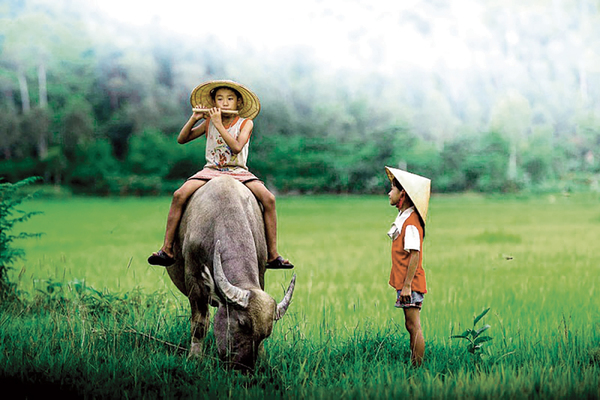 Voyage au Vietnam 12 jours avec guide francophone guide francophone Vietnam
