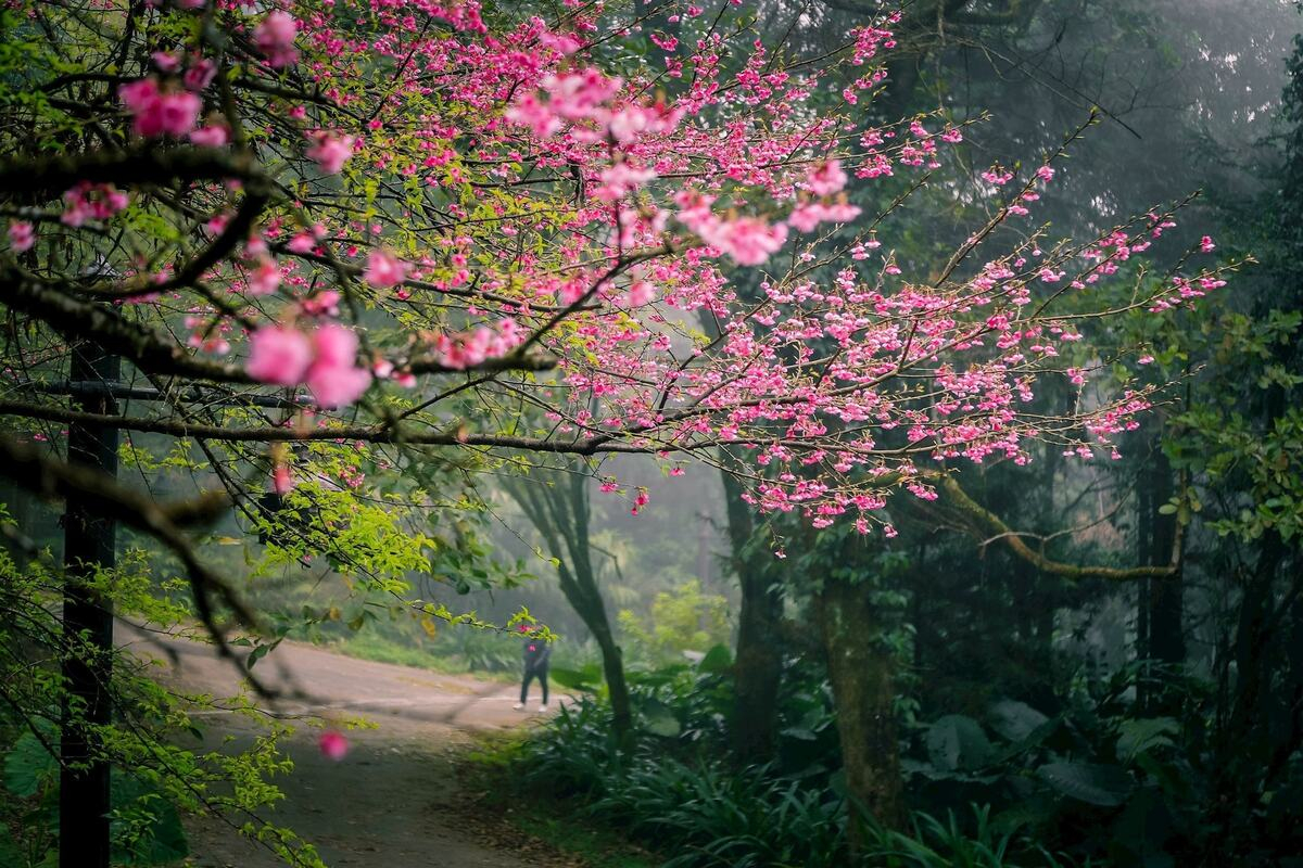 Le climat du Vietnam 1